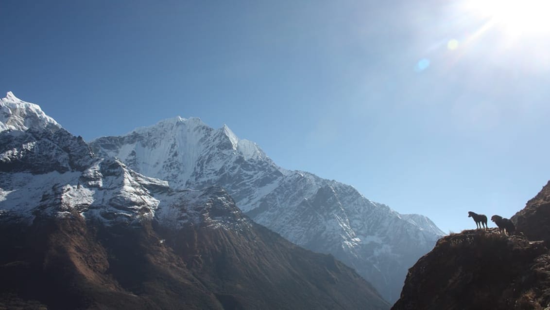 Trek till Everest Base Camp