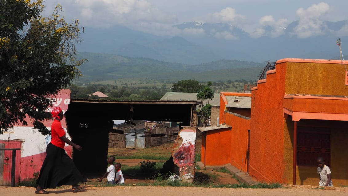 Uganda - Mount Rewenzori i bakgrunden