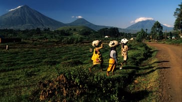 Ultimata Uganda och vulkantrek i Rwanda