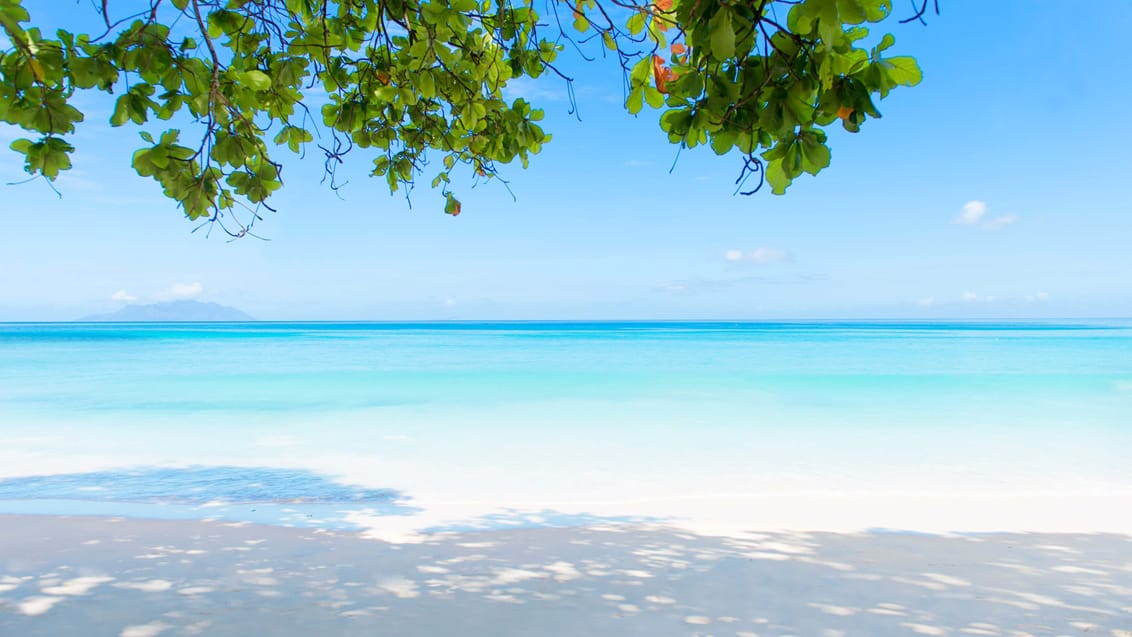 Upplevelseresa till strandparadiset Seychellerna