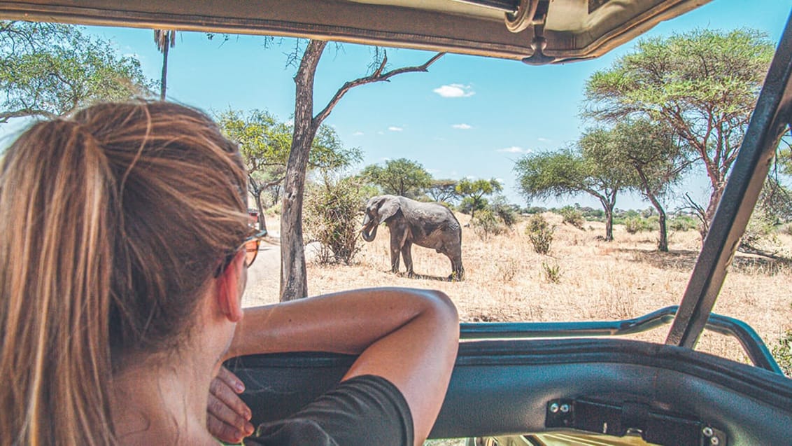 Safari Serengeti, Tanzania Safari Serengeti, Tanzania