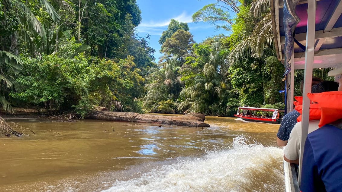Tortuguero, Costa Rica