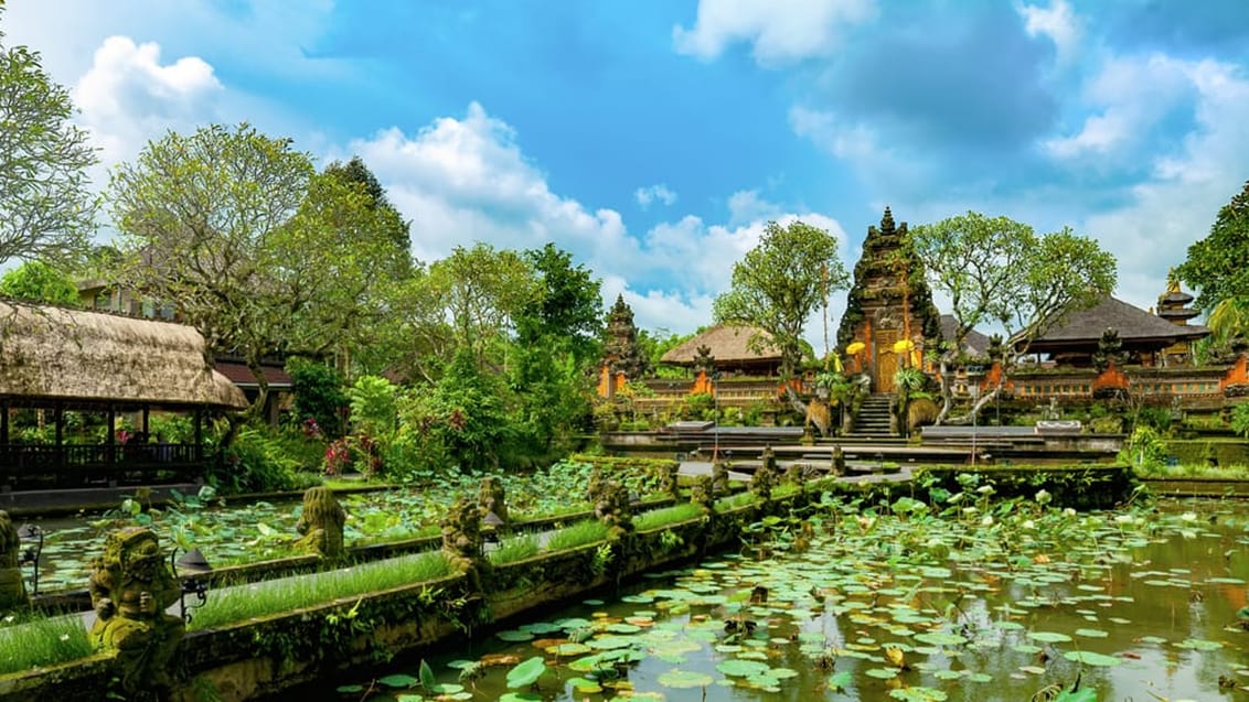 Ubud, tempel