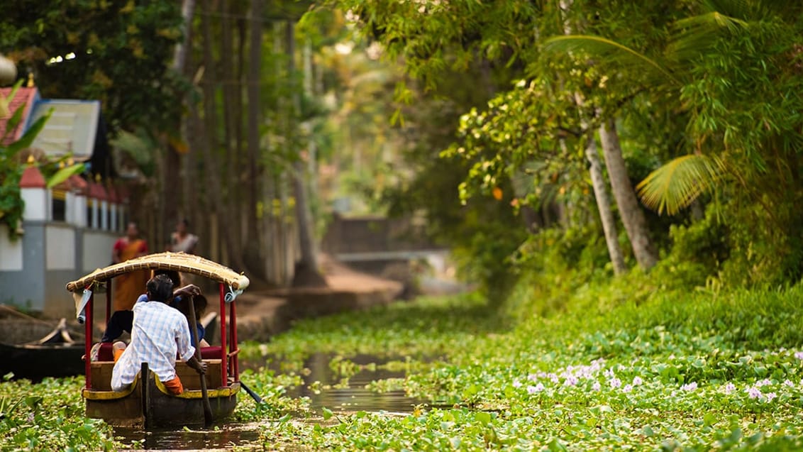 Keralas höjdpunkter