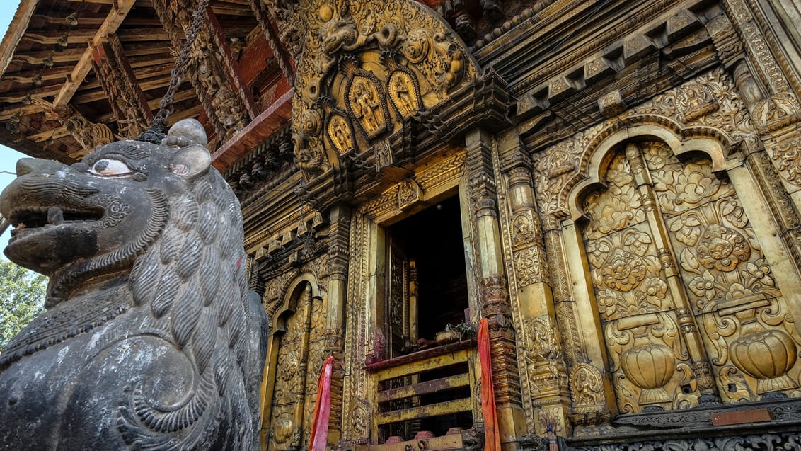 Nepal, Bhutan och Indien