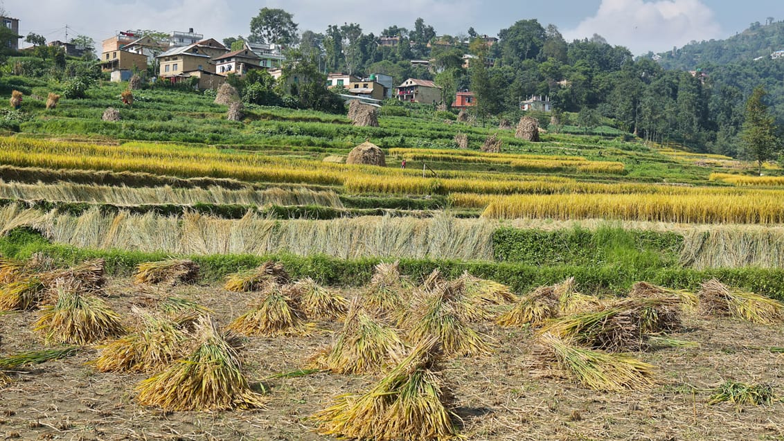 Nepal, Bhutan och Indien