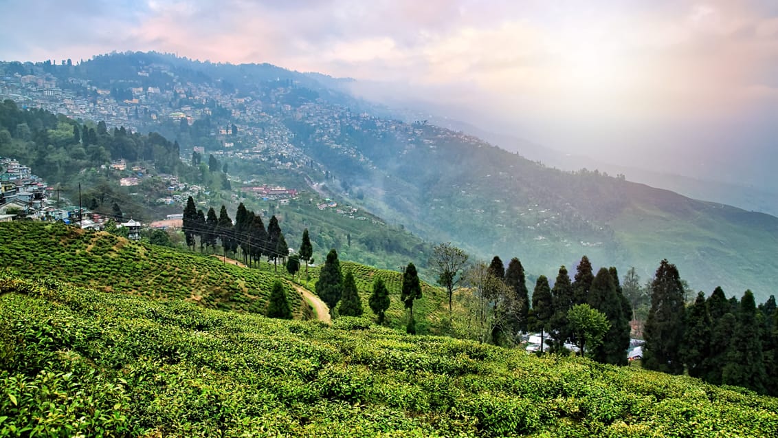 Nepal, Bhutan och Indien